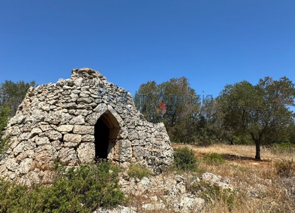 negozio in vendita a Carovigno