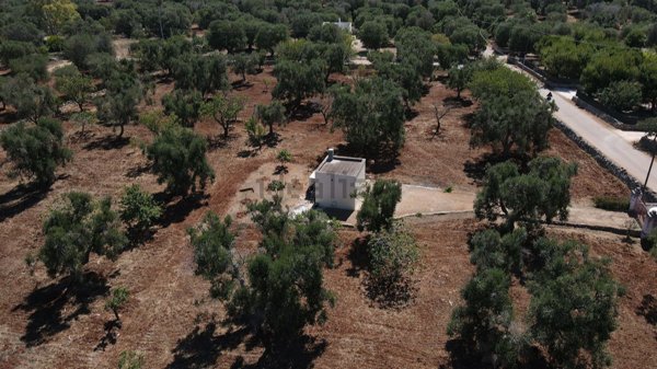 appartamento in vendita a Carovigno