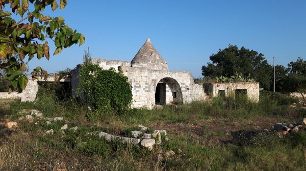 esavano in vendita a Carovigno