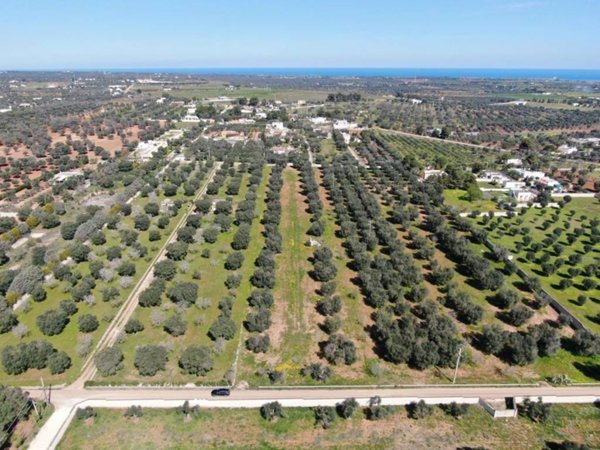casa indipendente in vendita a Carovigno