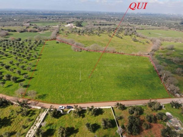 terreno agricolo in vendita a Carovigno
