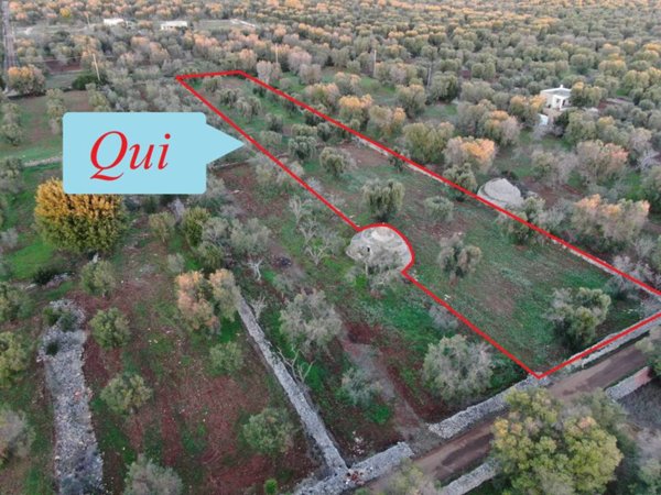 terreno agricolo in vendita a Carovigno