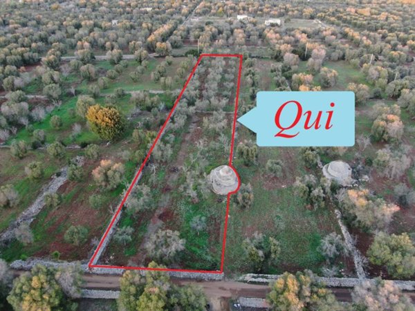 casa indipendente in vendita a Carovigno