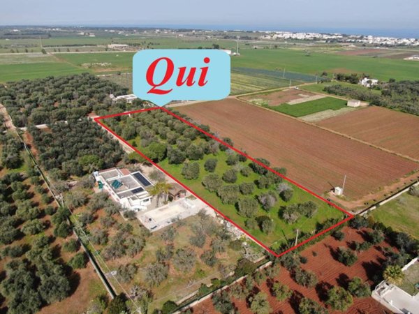 casa indipendente in vendita a Carovigno
