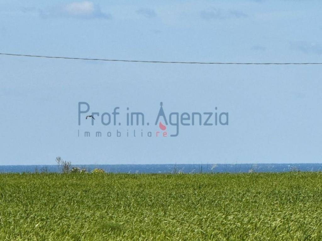 terreno agricolo in vendita a Carovigno in zona Serranova