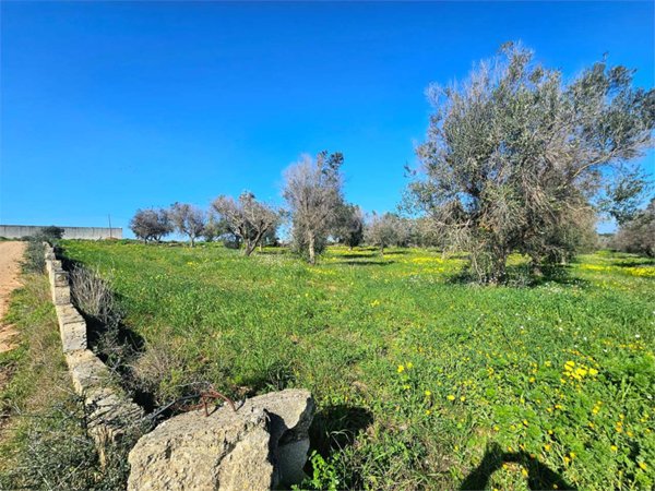 casa indipendente in vendita a Carovigno in zona Serranova