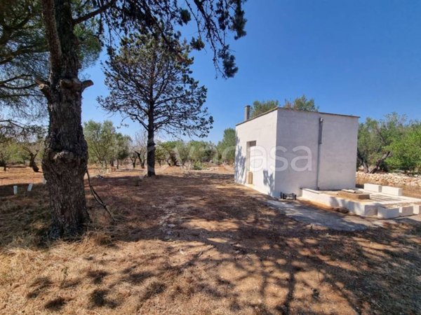 casa indipendente in vendita a Carovigno