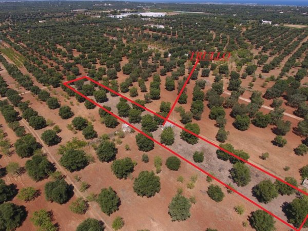 casa indipendente in vendita a Carovigno