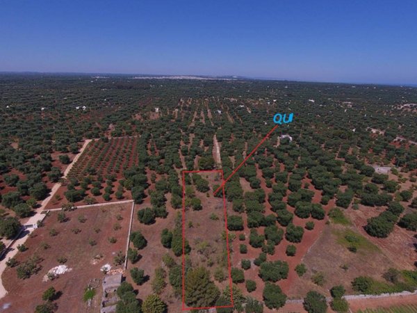 terreno agricolo in vendita a Carovigno