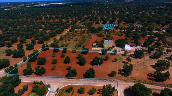 terreno agricolo in vendita a Carovigno in zona Serranova