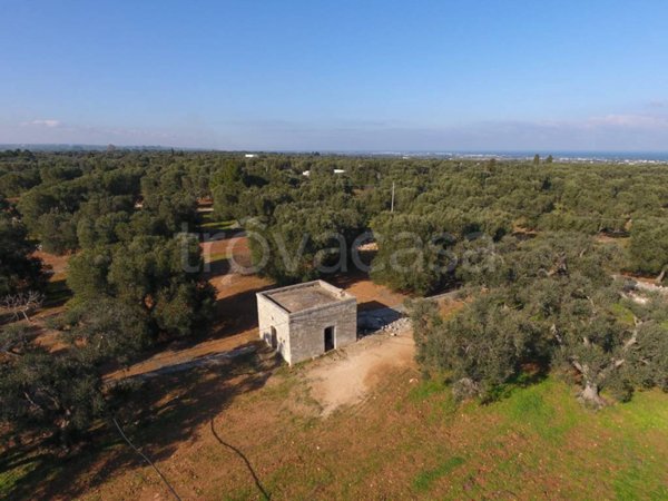 casa indipendente in vendita a Carovigno