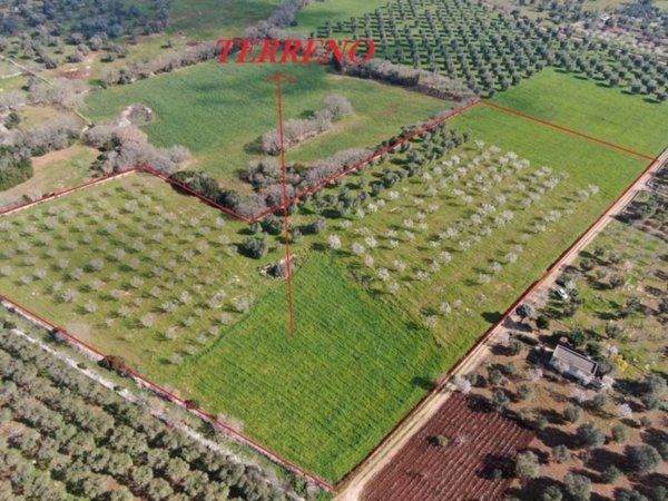 casa indipendente in vendita a Carovigno