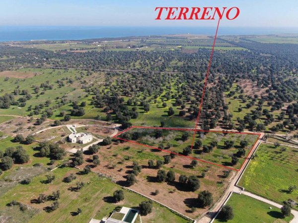 terreno agricolo in vendita a Carovigno