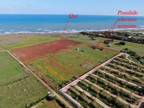casa indipendente in vendita a Carovigno