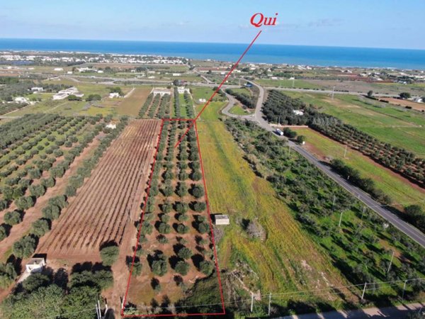 casa indipendente in vendita a Carovigno