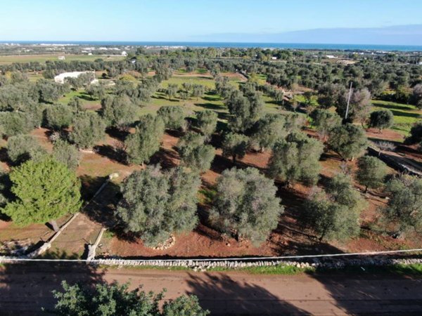 casa indipendente in vendita a Carovigno