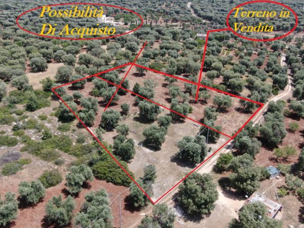terreno agricolo in vendita a Carovigno