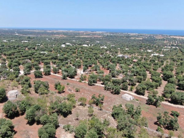 terreno agricolo in vendita a Carovigno