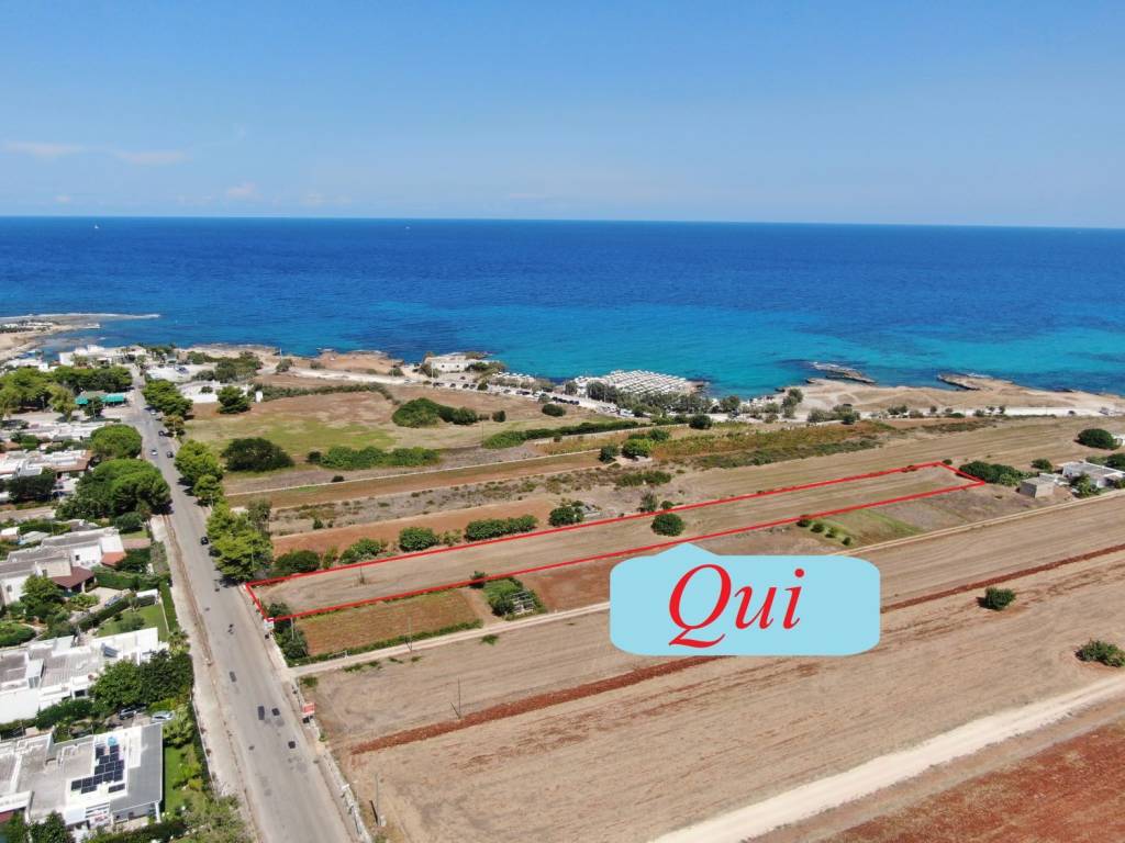 terreno agricolo in vendita a Carovigno
