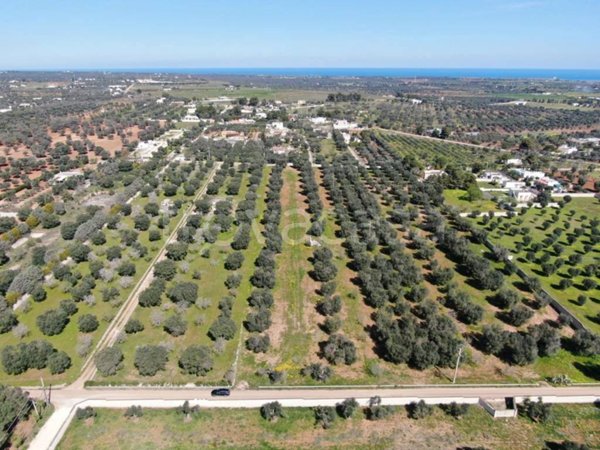casa indipendente in vendita a Carovigno