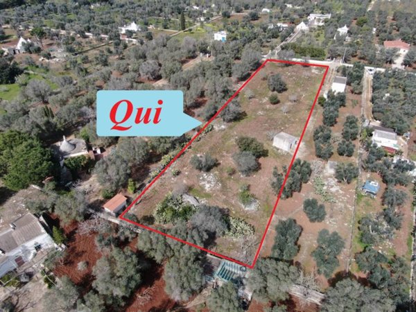 terreno agricolo in vendita a Carovigno