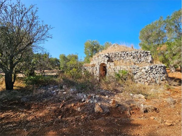 terreno agricolo in vendita a Carovigno