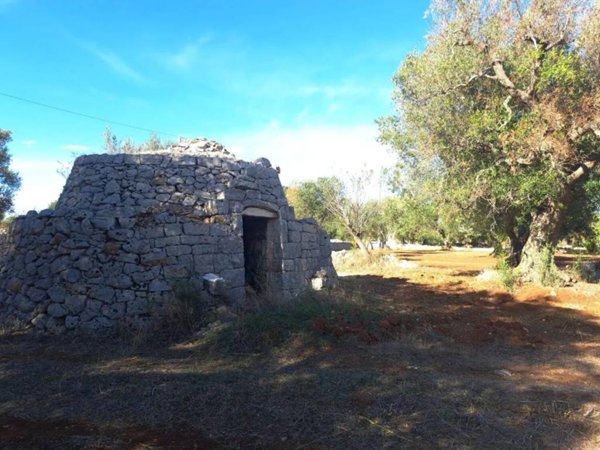 casa indipendente in vendita a Carovigno