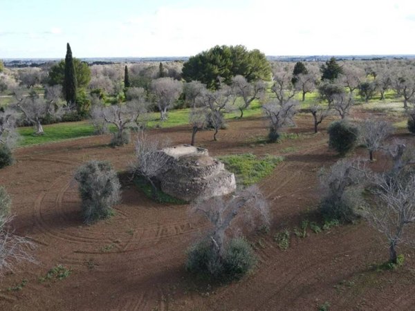 casa indipendente in vendita a Carovigno