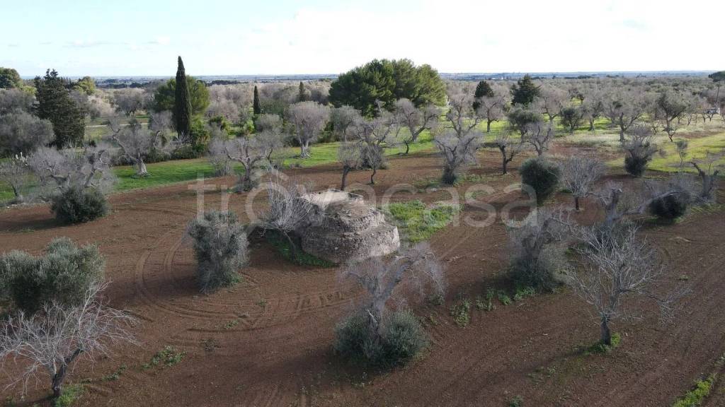 casa indipendente in vendita a Carovigno in zona Torre Santa Sabina