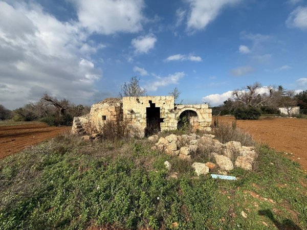 appartamento in vendita a Carovigno