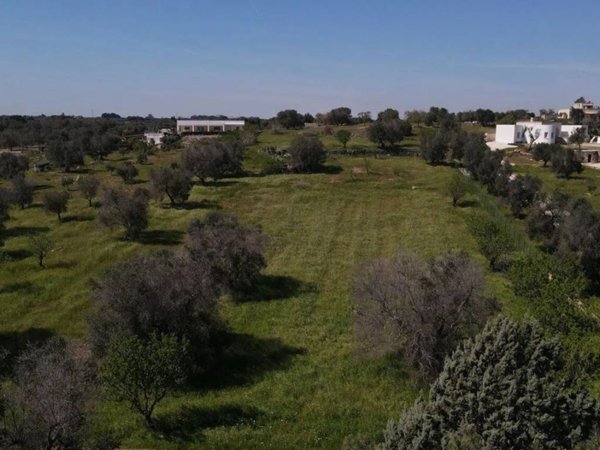 terreno agricolo in vendita a Carovigno