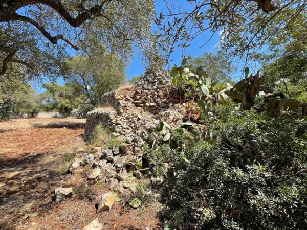 casa indipendente in vendita a Carovigno