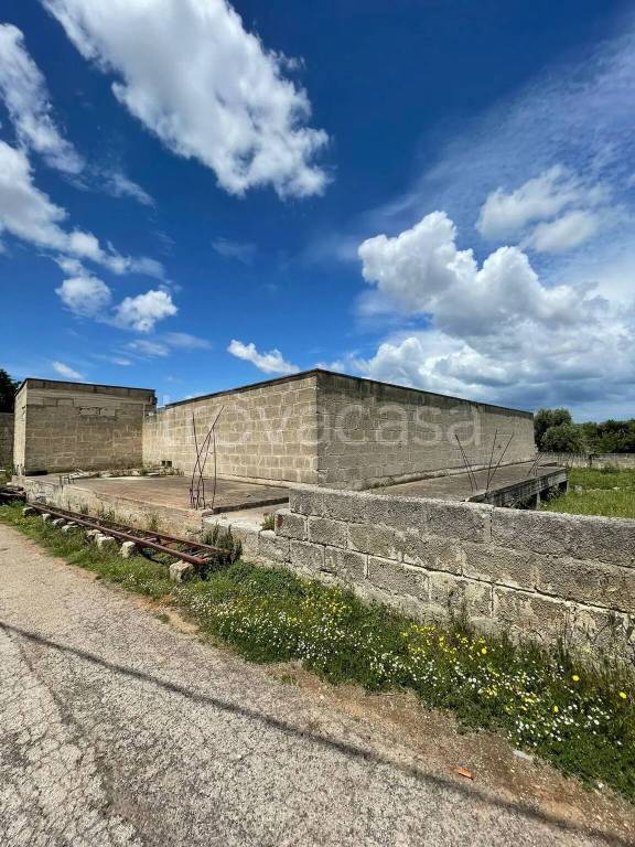 casa indipendente in vendita a Carovigno in zona Torre Santa Sabina