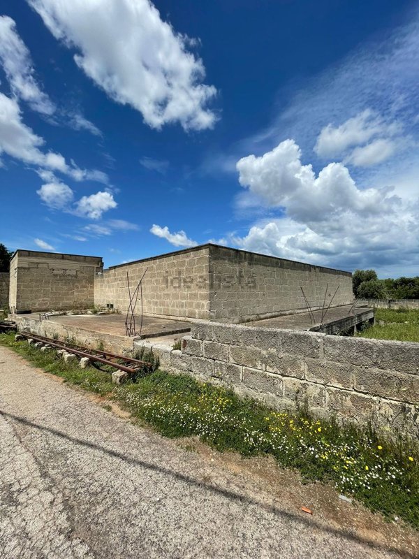 casa indipendente in vendita a Carovigno