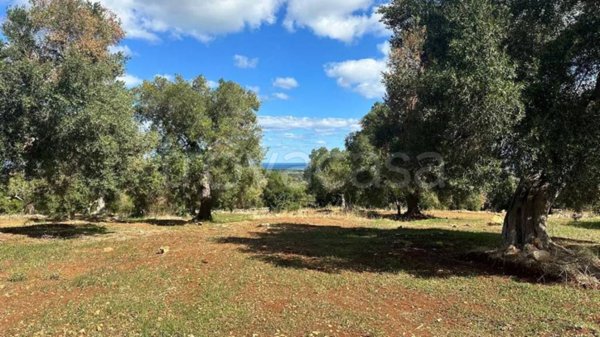 terreno agricolo in vendita a Carovigno in zona Torre Santa Sabina