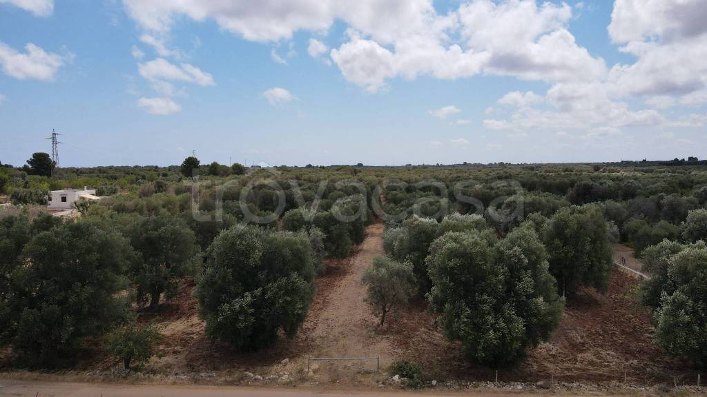 terreno agricolo in vendita a Carovigno in zona Torre Santa Sabina