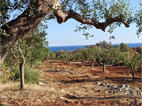 casa indipendente in vendita a Carovigno