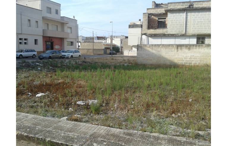 terreno agricolo in vendita a Carovigno