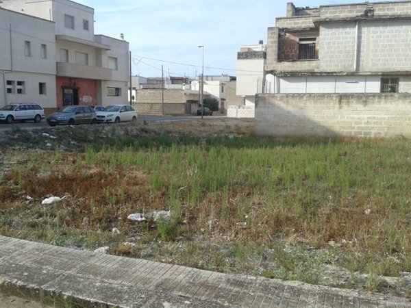 terreno agricolo in vendita a Carovigno