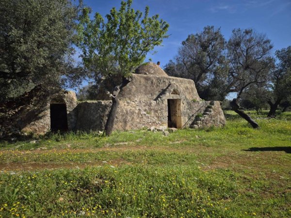 casa indipendente in vendita a Carovigno
