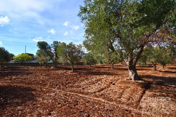 terreno edificabile in vendita a Carovigno