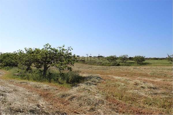 appartamento in vendita a Carovigno