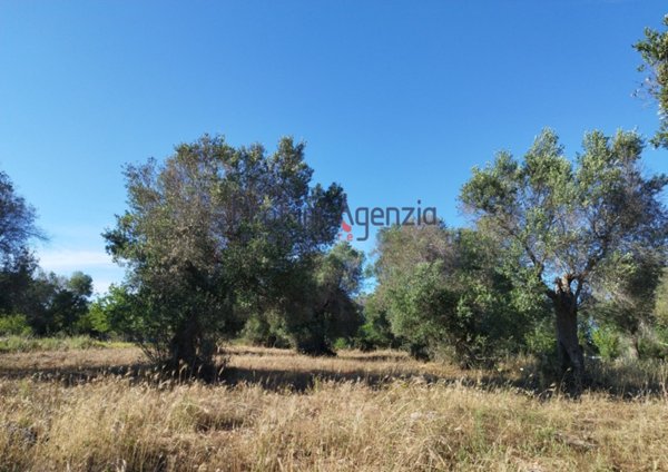 casa indipendente in vendita a Carovigno
