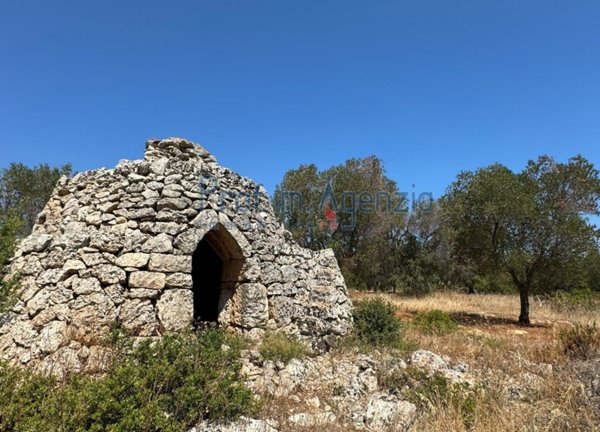 negozio in vendita a Carovigno