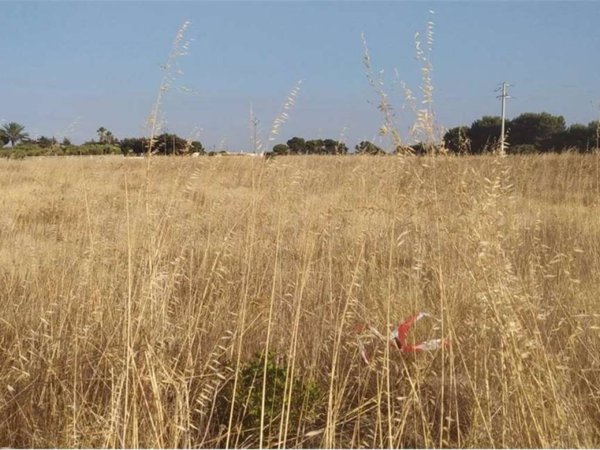 terreno agricolo in vendita a Carovigno