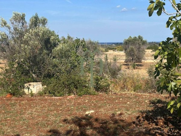 terreno agricolo in vendita a Carovigno