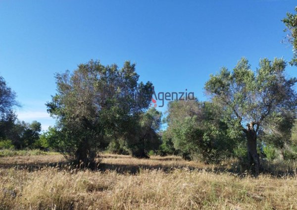 casa indipendente in vendita a Carovigno