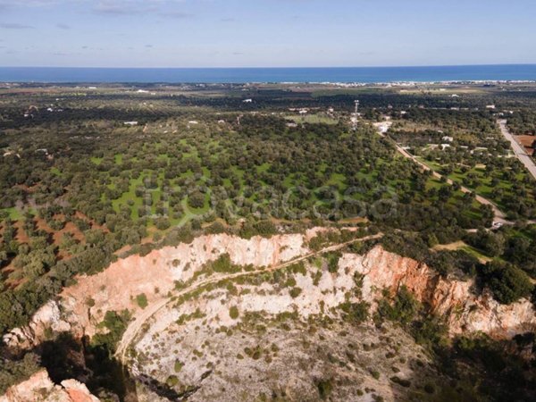 terreno agricolo in vendita a Carovigno in zona Torre Santa Sabina