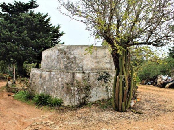 casa indipendente in vendita a Carovigno