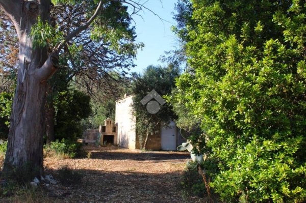 casa indipendente in vendita a Carovigno